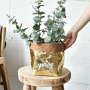 Washable Kraft Paper Storage Bag Nordic Unbreakable Plants Grow Paper Sundr