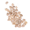 50pcs Guava Seeds Delicious Tropical Fruit Seed Non Transgenic Plant Bonsai LJ