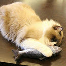 5PCS Catnip Fish Toys for Cat 20Cm Cat Toys Cat Fish Pillow Cat Catnip Toys D1L4
