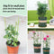 2 Pack Plant Support Cage Metal Rust Resistant Garden Plant Support Ring Pl