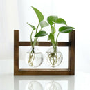 Hanging Glass Vase Landscape Terrarium With Wooden Stand Decor 2 Bottle