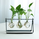 Modern Glass Tabletop Hydroponic Flower Vase With Cast Iron Tray 3 Beaker E