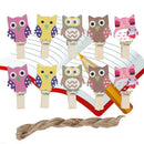 10 Mini Pegs Owl Wooden Craft Pegs Card Holder Photo Hanger Clothes Clip 2017