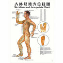 7pcs/set English Acupuncture Meridian Acupressure Points Posters Chart Wall Map