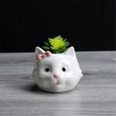 Cute Cat Pattern Ceramic Flower Pot  Succulents Cactus Plants Mini Pot Planter Z