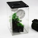 Reptile Acrylic Terrarium Full View Visually Reptile Habitat Box
