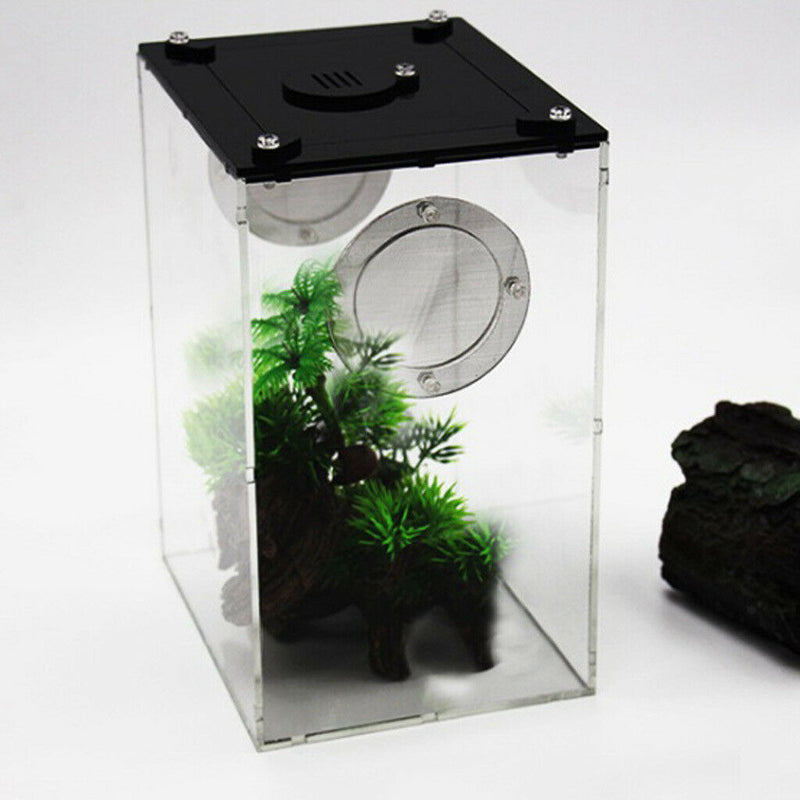 Reptile Acrylic Terrarium Full View Visually Reptile Habitat Box
