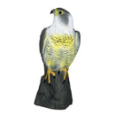 Realistic Eagle Hawk Hunting Decoyl Bird Pigeon Scarer FOR Outdoor Garden Decor.