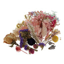 Dried Flowers Natural Flowers for Candle Making Soap Making DIY Bath Making Kit
