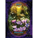 Witches' Wisdom Oracle Cards & Guidebook 48 Tarot Nemesis Now Wiccan Pagan