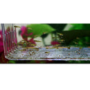 2xAquarium Fish Breeding Box Fry Trap Hatchery Floating Breeder Nursery Box