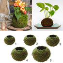 2pcs Naturally Green Moss Ball Flowerpot Plant Holder Garden Ornament Holiday