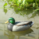 Plastic Lifelike Mallard Duck Decoy Floating Drake Duck Decoy For Hunting