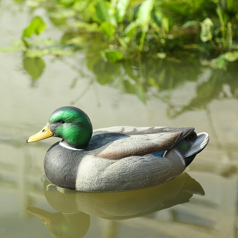 Plastic Lifelike Mallard Duck Decoy Floating Drake Duck Decoy For Hunting
