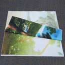 5x3FT Seaside Beach Palm Vinyl Studio Photography Backdrop Photo