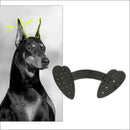 Set of 5 Pet Dog Ear Care Tools Black For German  Dog Great Dane