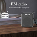 Metallic Mini Bluetooth Speaker Outdoor Portable FM Card AUX Bluetooth Speaker