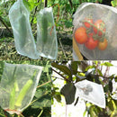 100Pcs Plant Protect Bag, Garden Netting Bag Insects Mosquito Bug Net Barri