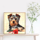 5D Full Round Drill Diamond Painting Dog diy Embroidery Animal Decor (279)