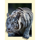 5D White Tiger Embroidery Diamond Painting Craft Cross Stitch Home Decor