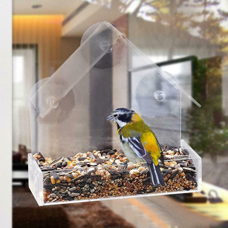 Garden Transparent Clear Acrylic Window Suction Bird Seed Peanut Feeder House AU