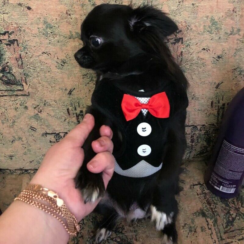 Dog Vest Pet Dog Harness Leash Set for Small Medium Dogs Bow Tie Formal Dre O1R3