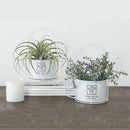 2X(Funny Creative Beautiful Iron Cactus Flower Pot Ornament Flowerpot Decor