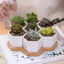 Set Of Decorative Geometry Hexagon White Ceramic Succulent Plant Pot Porcel