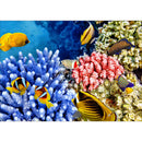 Diamond Painting Fish Coral Full Round Rhinestone Picture DIY Kit 40x30cm