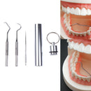 1 Set Stainless Steel Portable Toothpick Tooth Hook Teeth Clean Tool Dental  Hn