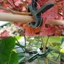 80Pcs Tree Plants Flower Seedling Stem Support Plastic Spring Clips Set HPZ