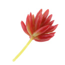 Set of 2 Artificial Succulent Flower Real Touch Simulation Faux Plant 309