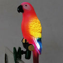 Solar Power LED Light Bird Parrot Lamp With Clip Night Lights Garden Outdoor