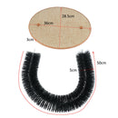 Gentle Fur Brushing for Cat Kitten Playing And Scratching