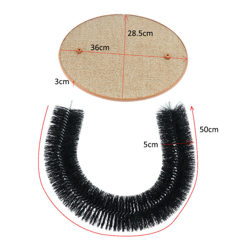 Gentle Fur Brushing for Cat Kitten Playing And Scratching