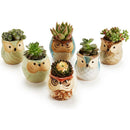 Mini Succulent Plant Pots, Small Ceramic Glazed Flower Desktop Table Planter