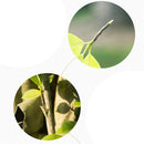 Plant Pruning Strecth Graft Budding Tape Floristry Pruner Fruit Tree GraftingME