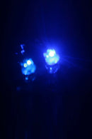 1 Pair LED Earrings Light Up Crown Shaped Shiny Studs (Blue)