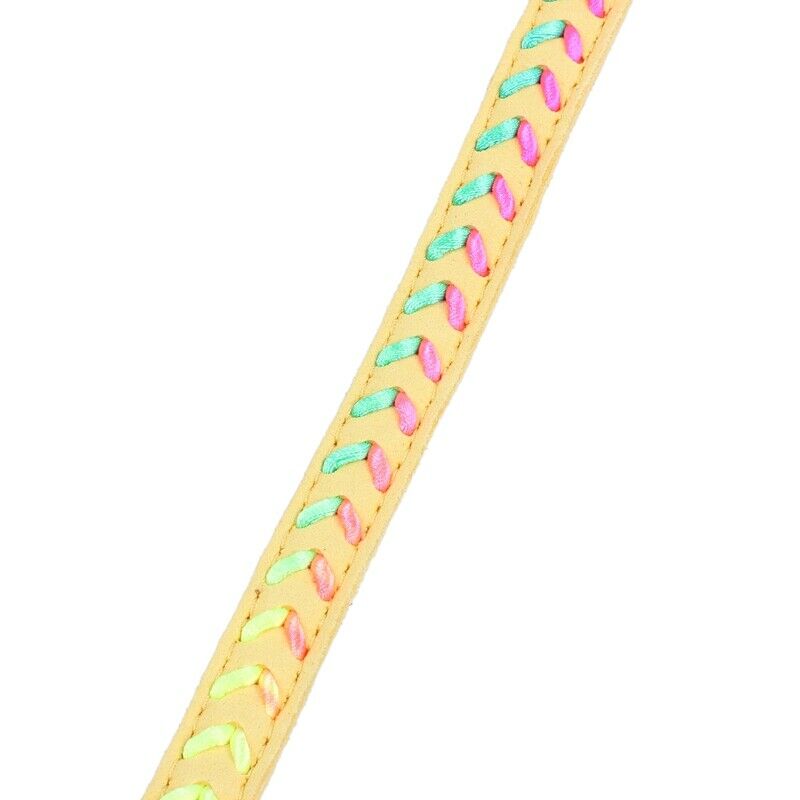 Braided Cool Stylish Braided Soft Padded Pet Collar Fits Small Medium