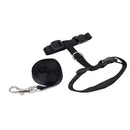 Nylon Adjustable Harness & Leash For Animals Black