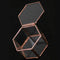 Geometric Glass Terrarium Box Jewelry Box Glass Succulent Plant Pot Deco He