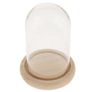 2-pack Transparant Festival Glass Dome with Base Retro Display Bell Jar Case
