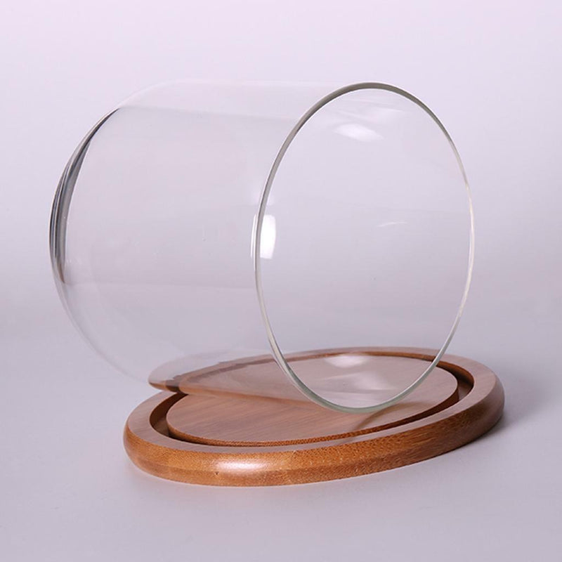 Glass Display Bell Jar Dome Cloche With Bamboo Base Decorative Desk Stand S