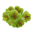 Artificial Succulents Plants Grass Flower Lifelike Home Plants Decor