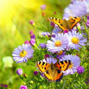 Diamond Embroidery Butterfly Flowers Round DIY Diamond Painting Home Decor