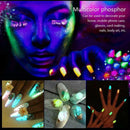 Luminous Pigment Fluorescent Powder Glow In The Dark DIY Painting Nail Art Decor