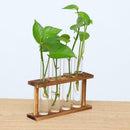 2x Crystal Glass 8 Test Tube Vase in Wooden Stand Flower Pots for Water Plant