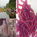 50Pcs Red Earthworm Fishing Bait Worm Lures Crankbaits Hooks Baits Tackle Soft !