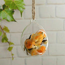 Hanging Glass Vase Ellipse Hanging Terrarium Glass Vase Hydroponic Office E