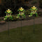 Solar Path Lights Outdoor Decorative Metal Frog Stake with 10 LEDs Globes for